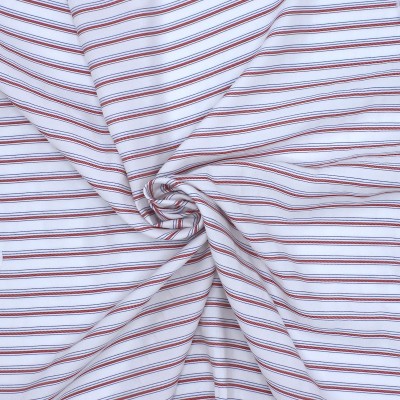 Striped apparel fabric 