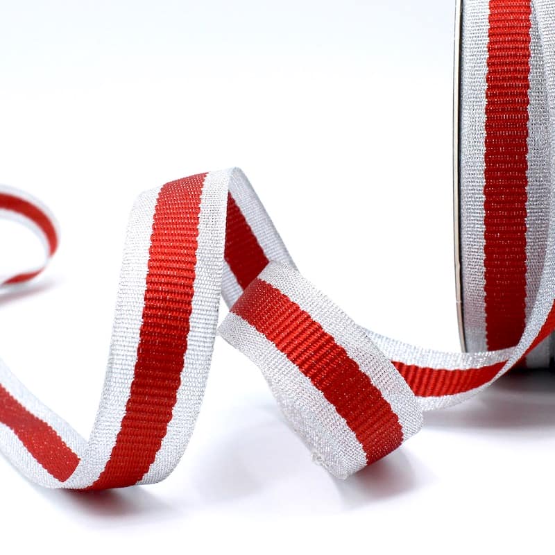 weggooien Frustratie Regenboog Zilveren biesband - rode streep