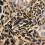 Leopard print polyester voile - brown